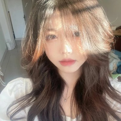 精武飞鸿